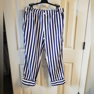 J. Crew Womens Navy and White Casual Cotton Pants